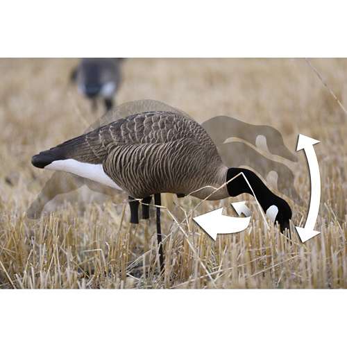 Canada goose outlet 800 fill valve