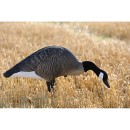 Higdon XS TruFeeder Motion Alpha Canada Goose Decoy