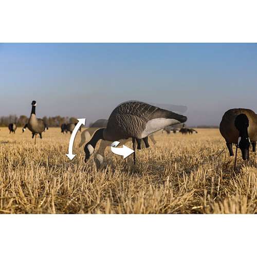 Higdon XS TruFeeder Motion Alpha Canada Goose Decoy | SCHEELS.com