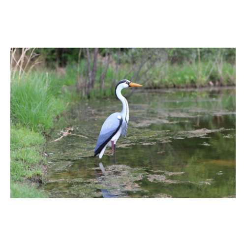 Higdon Heron Decoy