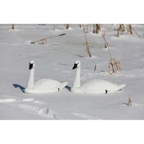 Higdon Standard Tundra Swan Decoy