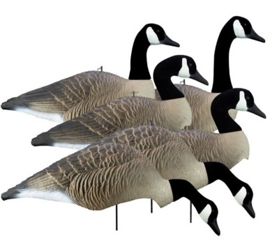 Higdon Alpha Wobbler, Magnum Canada Full Form Shell Variety Pack (6pk)