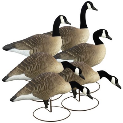 Higdon Alpha Magnum Canada Full Body Variety Pack