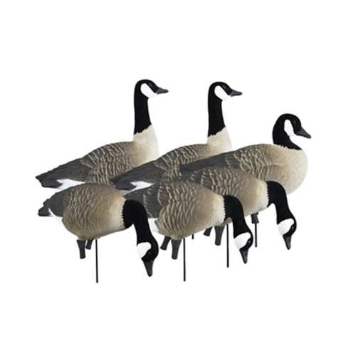 Higdon APEX Full-Size Full-Body Canada Goose Decoy Variety 6 Pack