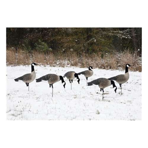 Higdon APEX Full-Size Full-Body Canada Goose Decoy Variety 6 Pack