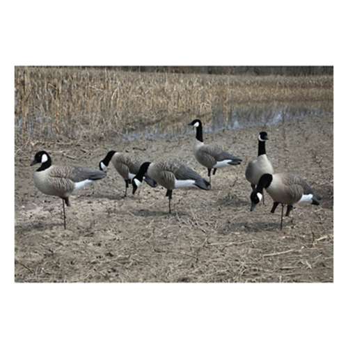 Higdon APEX Full-Size Full-Body Canada Goose Decoy Variety 6 Pack