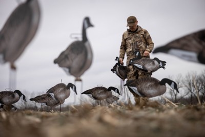 Higdon FLATS Magnum Canada Motion Silhouette Decoys 12pk
