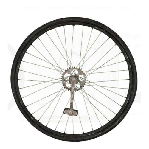 Paragon Bicycle Wheel