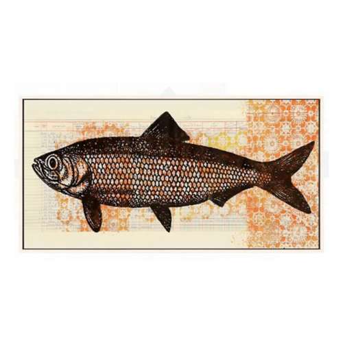 Paragon Here Fishy Fishy Print