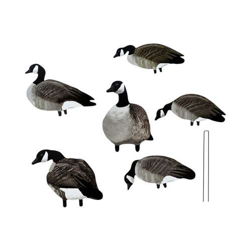 Big Al s Greater Canada Goose Silhouette Decoys SCHEELS