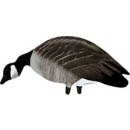 Big Al's Greater Canada Silhouette Goose Decoys 14-Pack