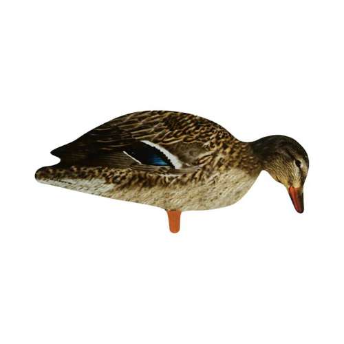 Eden Hall Ducks Gifts & Merchandise for Sale
