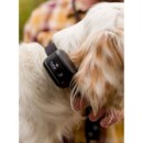 D.T. Systems Canine Coach 360 E-collar