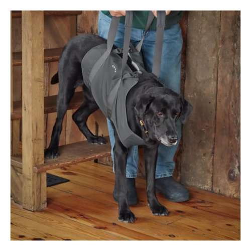 Orvis dog lift harness best sale