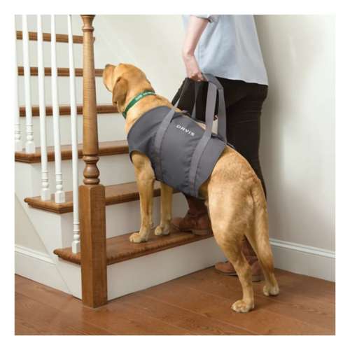 Orvis Dog Lift