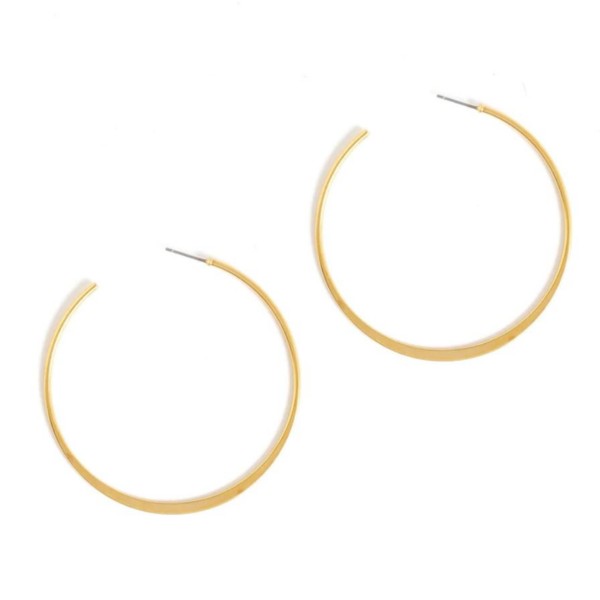 Women's Splendid Iris Circle Hoop Earrings product image