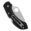 Spyderco, Inc. Dragonfly 2 C28PBK2 Pocket Knife
