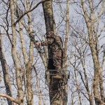 Summit Ledge XT Hang-On Treestand - Thumbnail 5 of 5