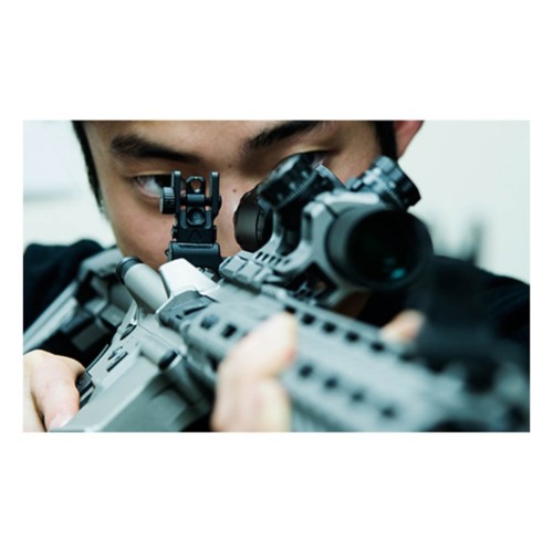UTG ACCU Sync 45 Degree Angle Rear Sight