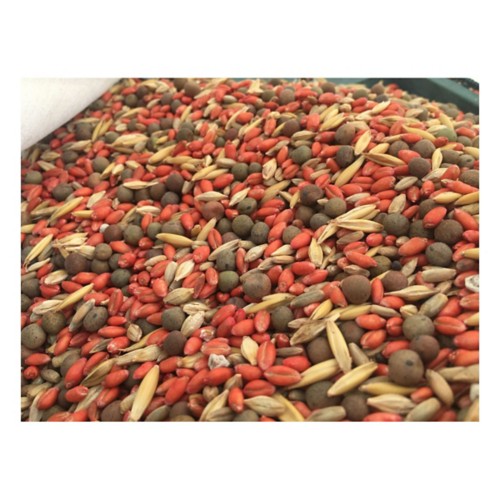 RWWP Deadly Dozen Full Season Food Plot Seed