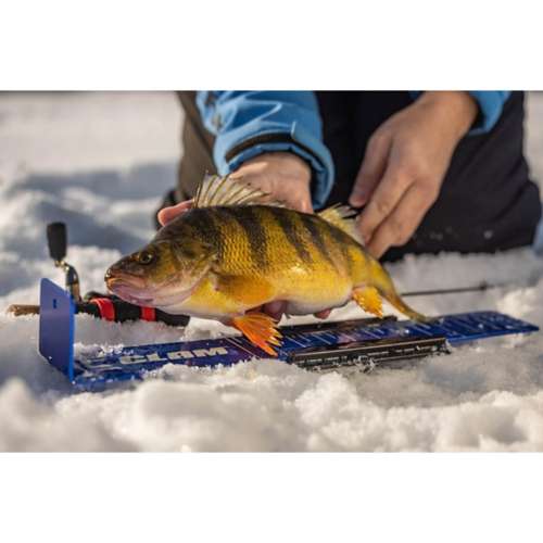 Clam Fish Trap Bump Board with Sleeve