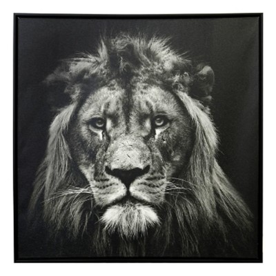 StyleCraft Home Collection Lion Canvas | SCHEELS.com