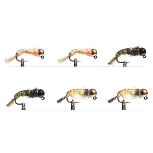 Scheels Outfitters Classic Caddis Euro Nymphs Fly Assortment 6 pack