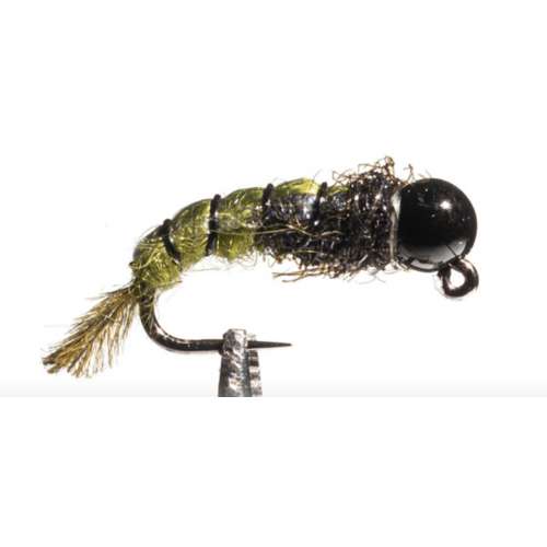 Scheels Outfitters Classic Caddis Euro Nymphs Fly Assortment 6 pack