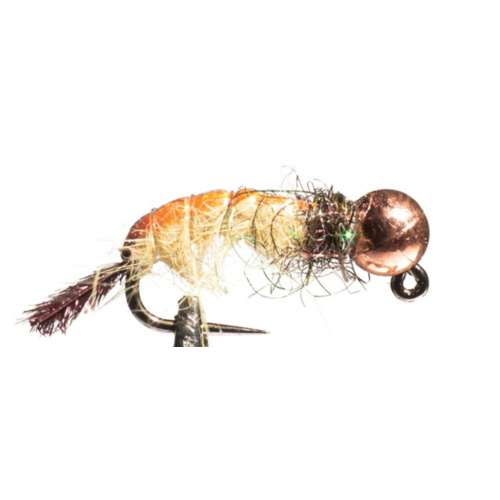 Scheels Outfitters Classic Caddis Euro Nymphs Fly Assortment 6 pack