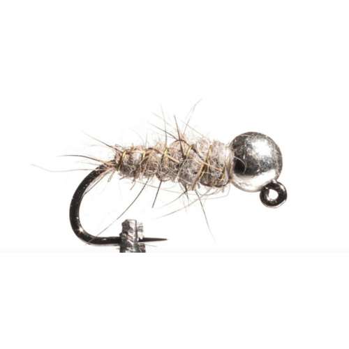 Scheels Outfitters Classic Walts Worm Euro Nymphs Fly Assortment 6 pack