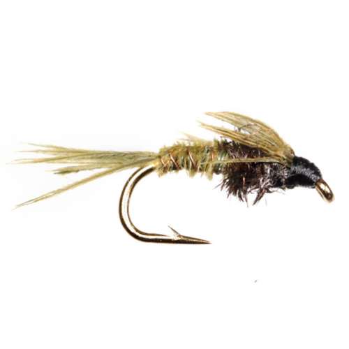 Scheels Outfitters Classic Nymphs Fly Assortment 6 pack