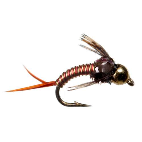 Scheels Outfitters Classic Copper Fly Assorment 6 pack