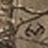 Realtree Edge