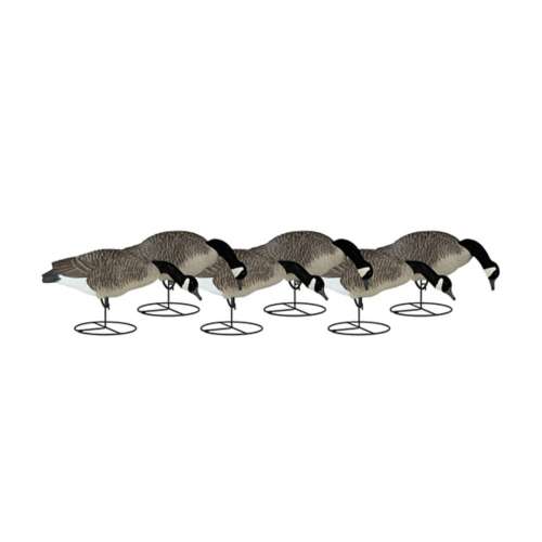 Dakota Decoy Signature Series Goose Decoys 6Pack