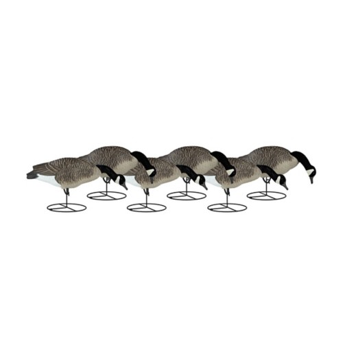 Dakota Decoy Signature Series Goose 6-Pack