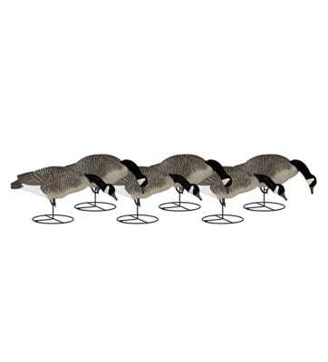 Dakota Decoy Canada Goose Full Body Flocked Feeder 6-Pack