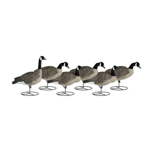 Dakota Decoy Signature Series Goose Decoys 6Pack