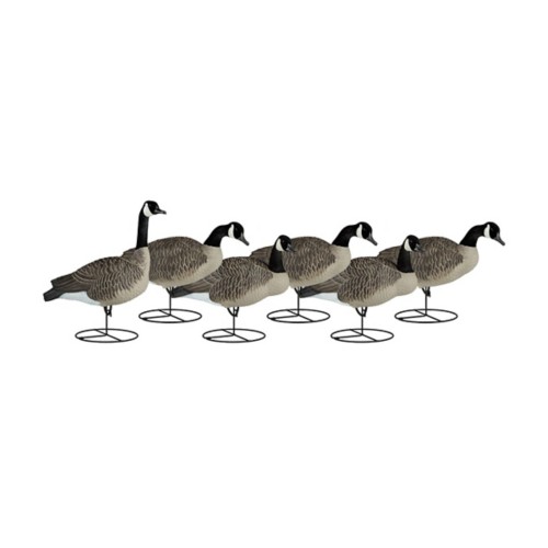 Dakota Decoy Signature Series Goose 6-Pack