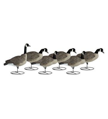 Dakota Decoy Full-Body Flocked Canada Goose Decoys 6-Pack