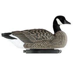 Dakota Decoy X-Treme Lesser Canada Goose Floaters