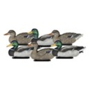 Dakota Decoy Packable Mallard Floater Decoy 6 Pack