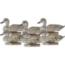 Dakota Decoy Early Season Teal Decoys 6-Pack