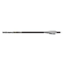 Victory RIP TKO w/AAE 2.6 Hybrid Vane Fletched Arrows