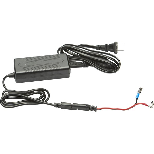 Amped Outdoors Llc Amped Outdoors LIFEPO4 Lithium Battery 3A Charger