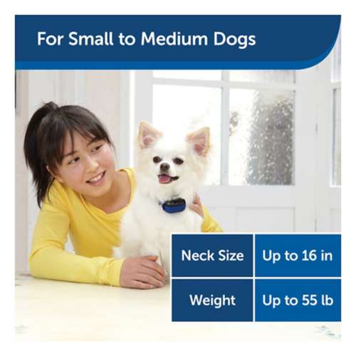 Petsafe elite little dog bark clearance control