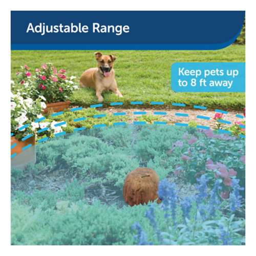 PetSafe Pawz Away Outdoor Pet Barrier