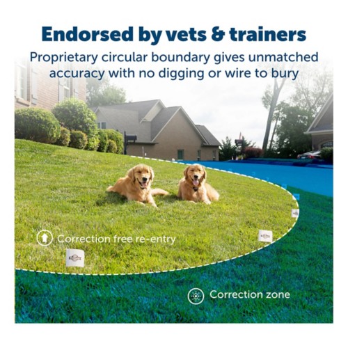 PetSafe Stay and Play Wireless Fencing System