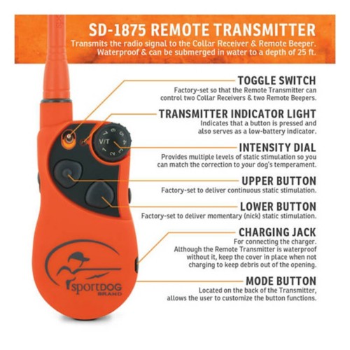 SportDOG UplandHunter 1875 Dog Training Bundle