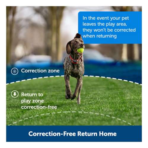 Petsafe stay play wireless fence for stubborn sales dogs