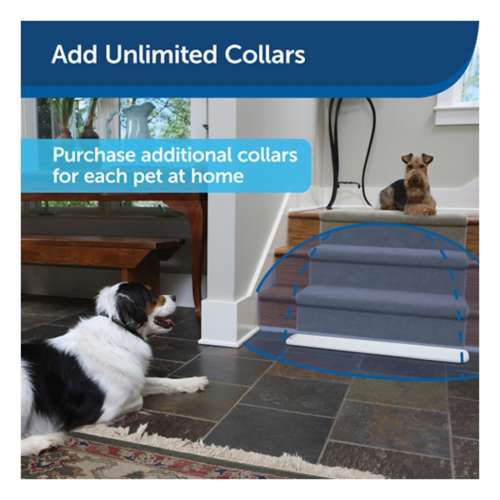 Pet barrier cheap collar